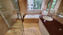 Dunearn Road (D11), Condominium #572689981